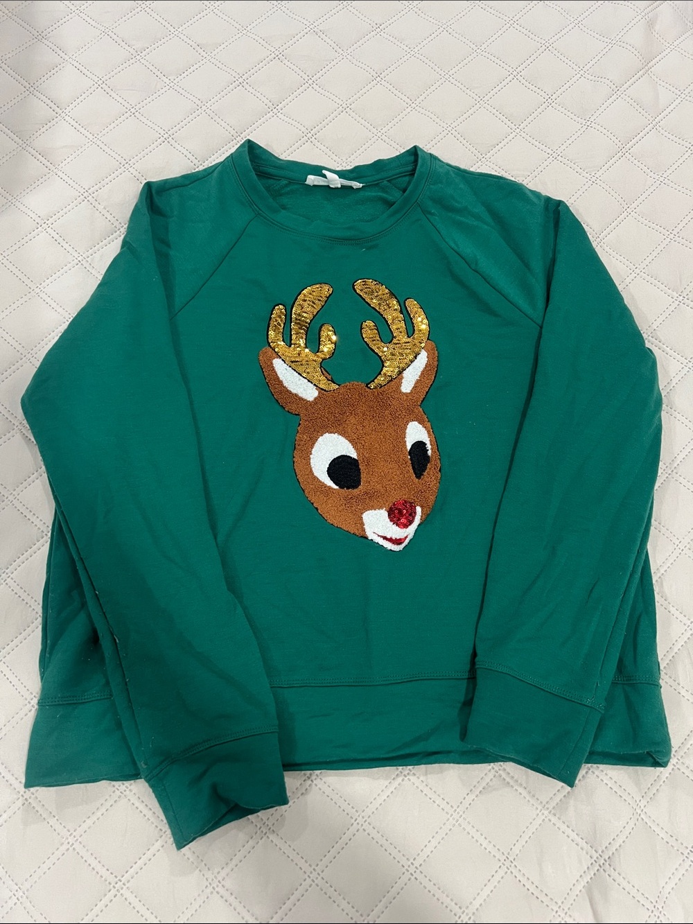Workshop Republic Clothing Teal Green Reindeer Sweatshirt